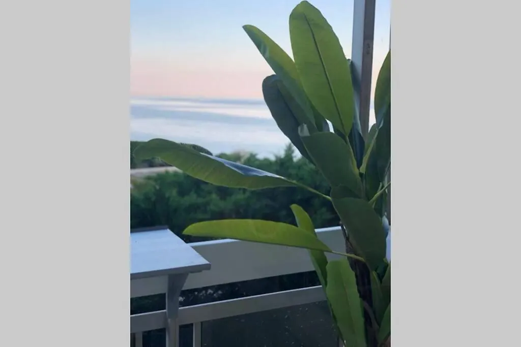 아파트 Charmant Studio Avec Terrasse Vue Mer A 50 M 생트막시메 프랑스